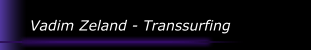 Vadim Zeland - Transsurfing